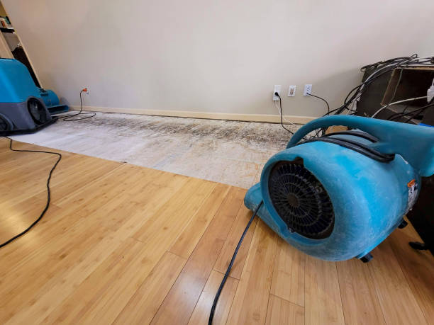 Professional Water Extraction technician working in West Wareham, MA